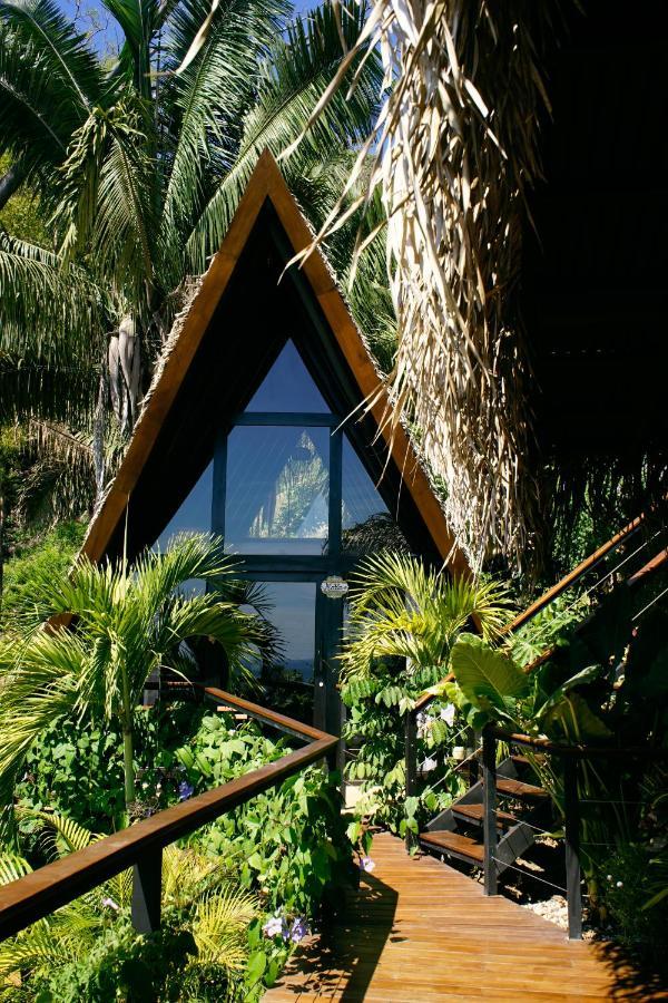 Bohemia Experience Villa Playa Santa Teresa  Exterior photo